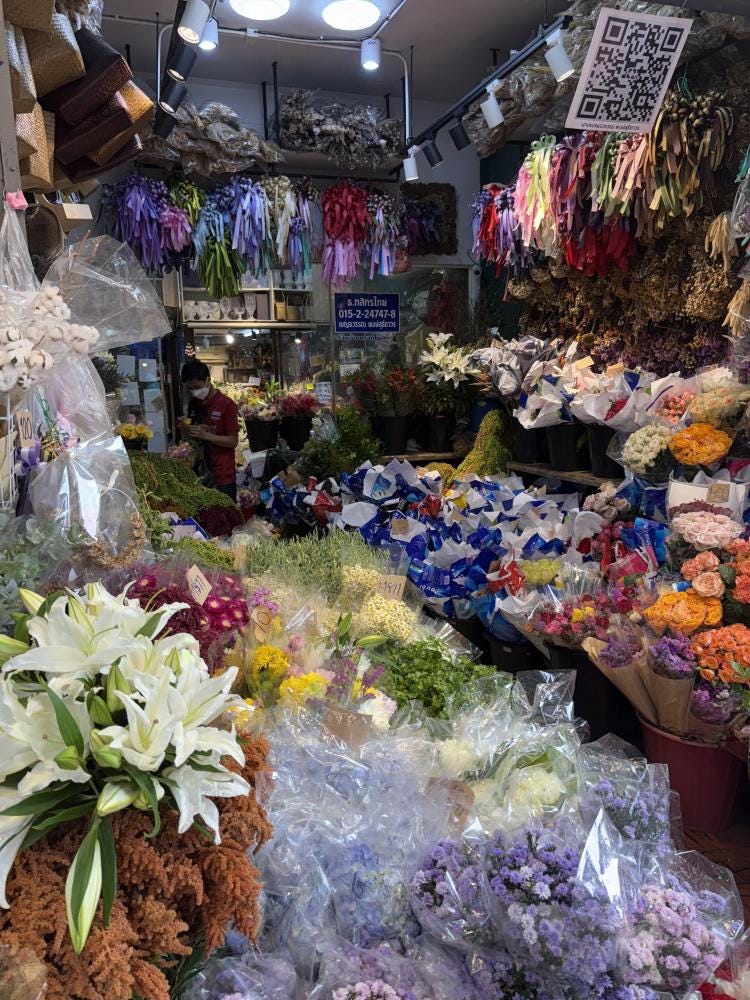 Foto 6 di 6