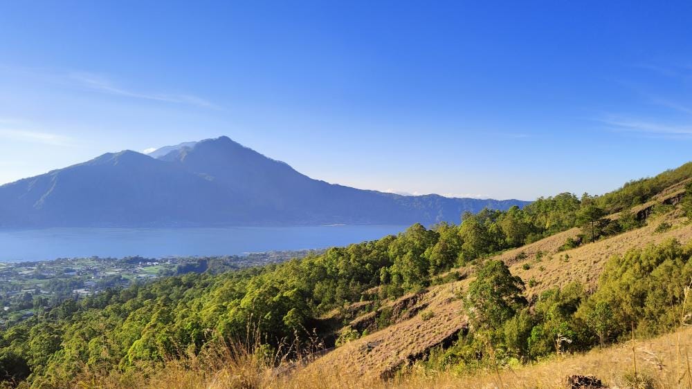 Foto 4 di 4