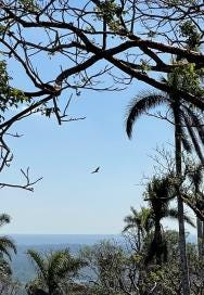 Foto 2 de 4