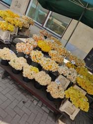 Foto {1} di {2}