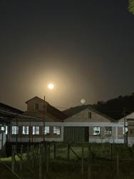 Foto 1 de 1