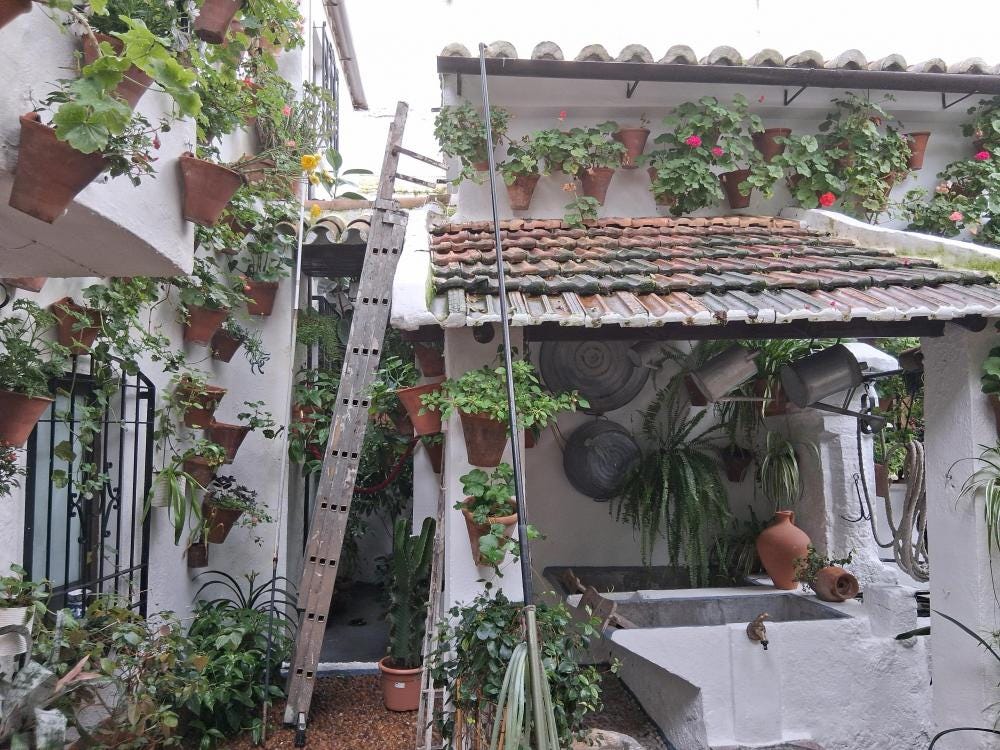 Foto 2 de 3