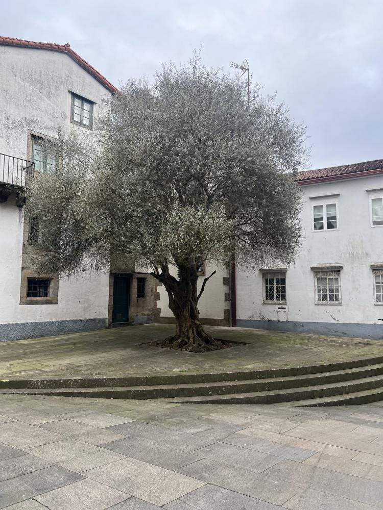 Foto 1 de 2