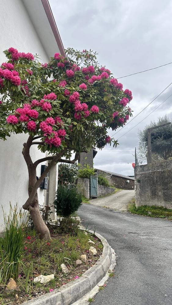 Foto 4 de 5