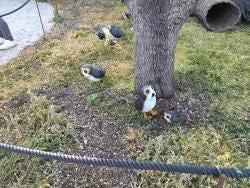 Foto 4 de 5