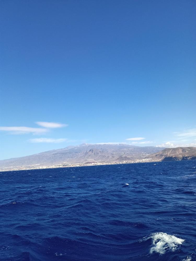 Foto 1 de 1