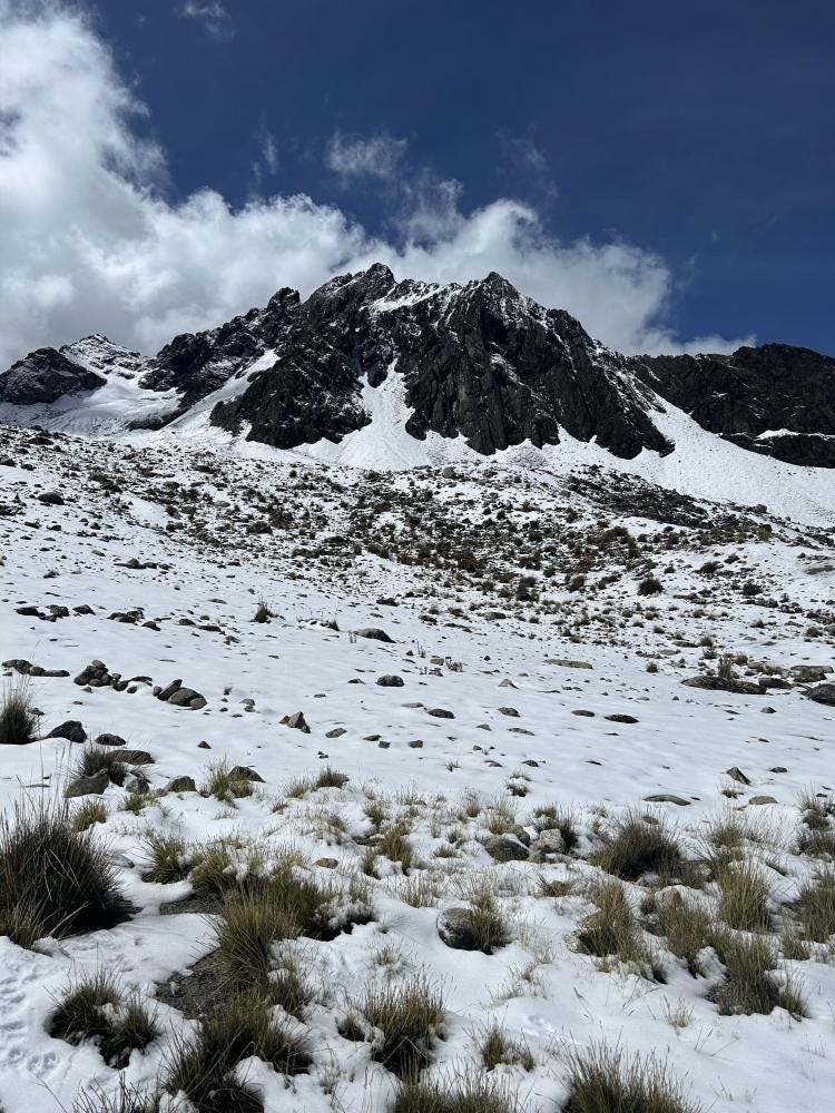 Foto 4 de 5