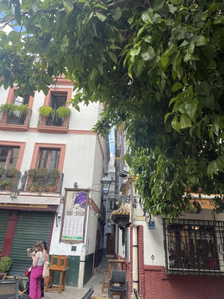 Foto 1 de 2