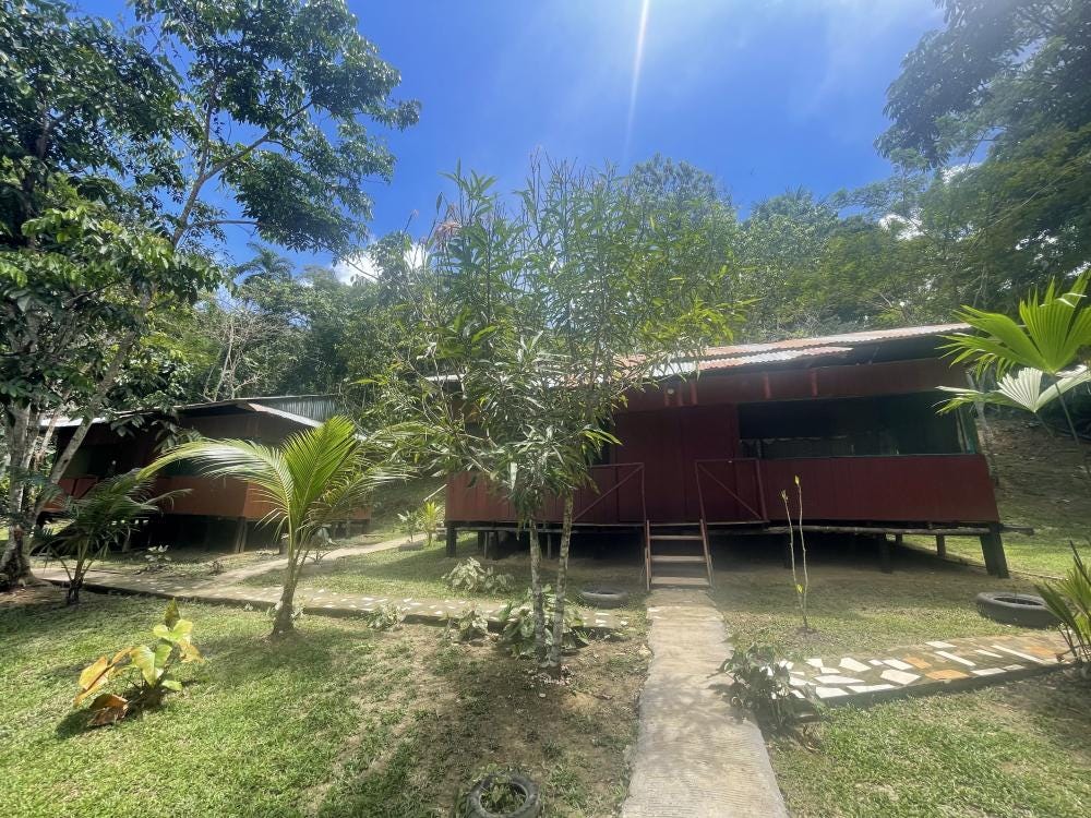 Foto 2 de 8