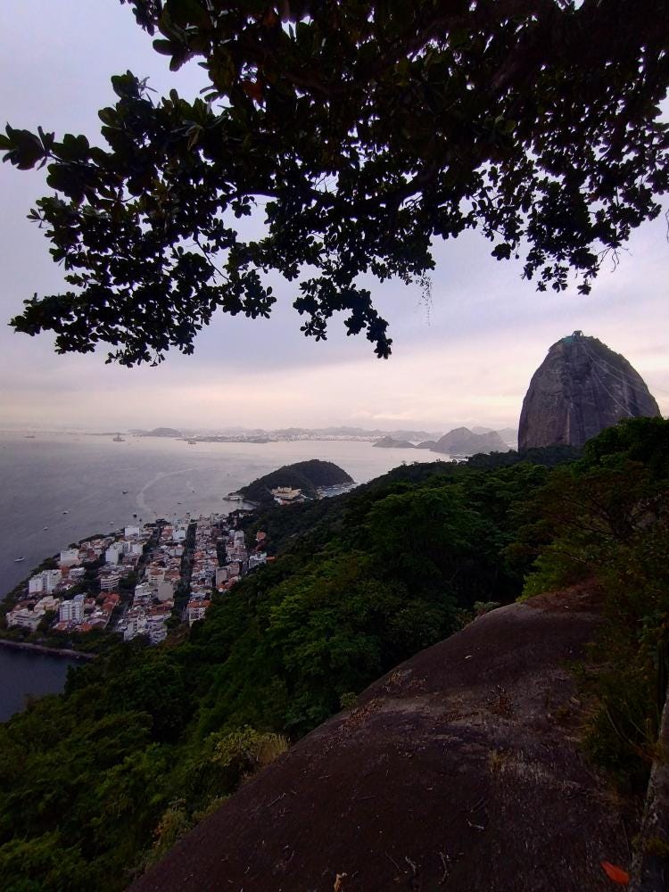 Foto 1 de 7