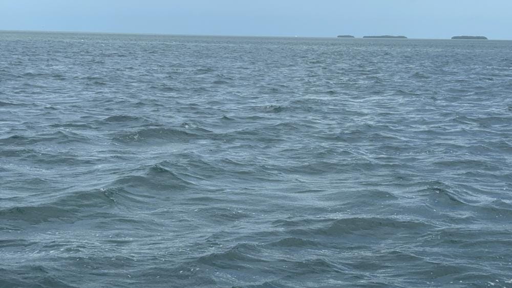 Photo 1 sur 2