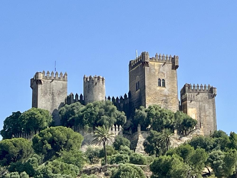 Foto 1 di 7