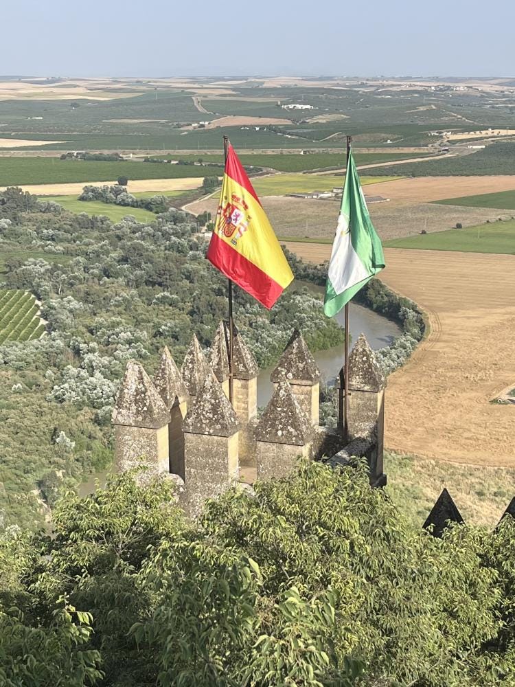 Foto 4 di 7