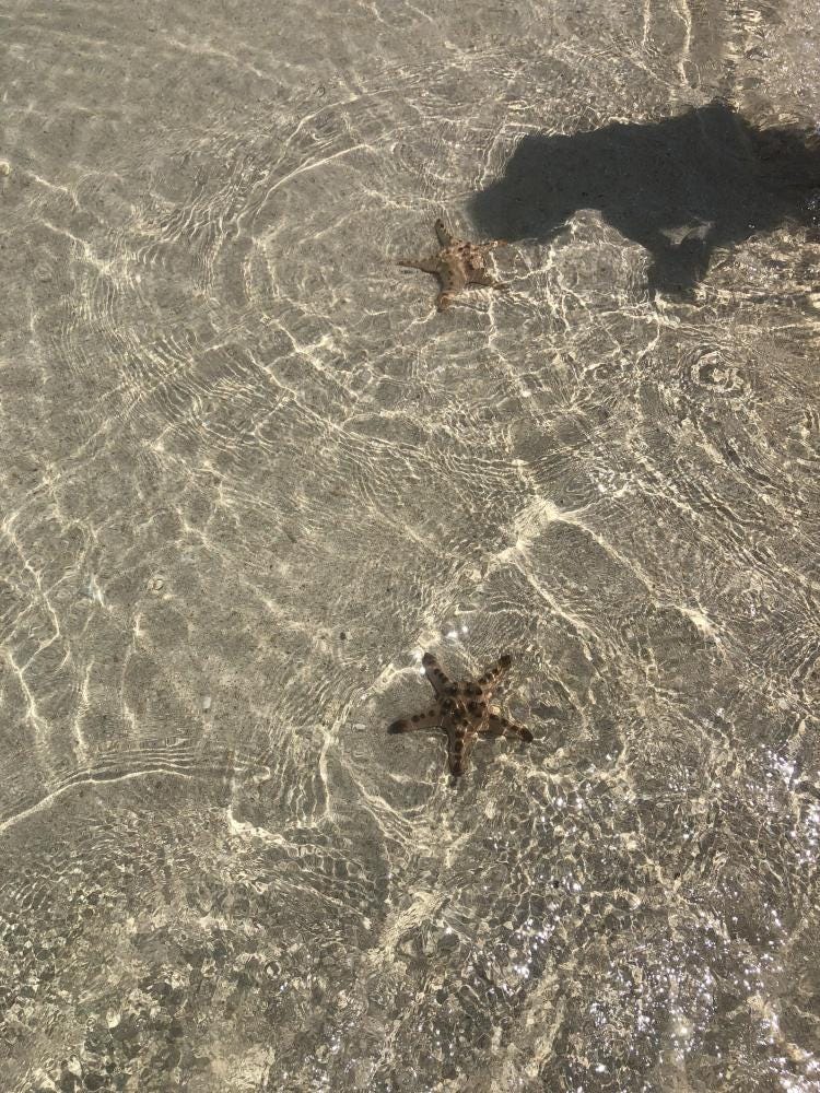 Foto 1 di 4