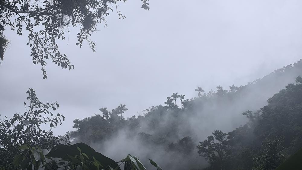 Foto 7 de 7