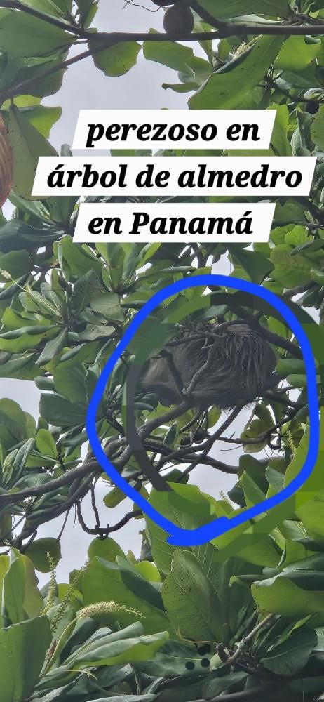 Foto 7 de 7