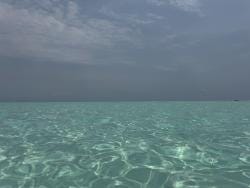 Photo {1} sur {2}