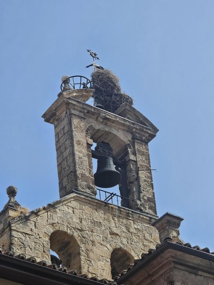 Foto 2 de 2