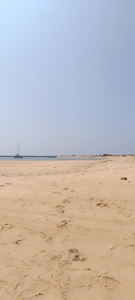 Foto 4 di 4