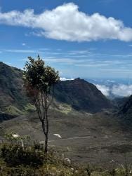 Foto 3 de 10