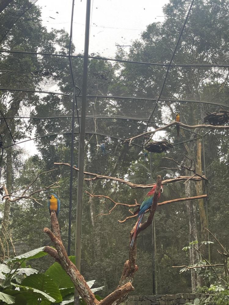 Foto 2 de 3