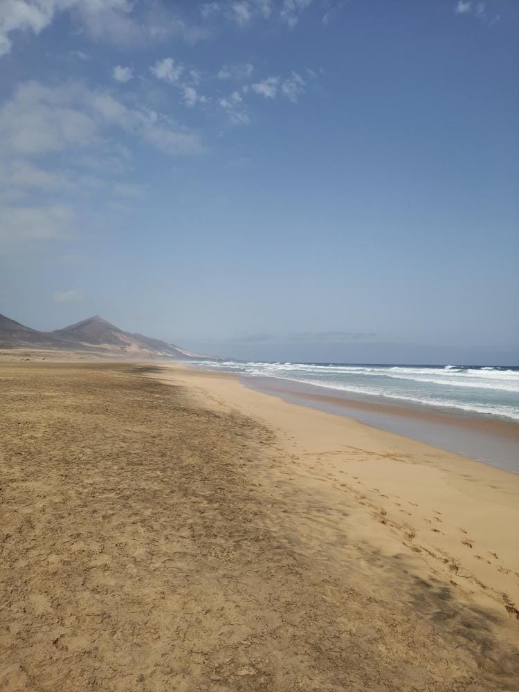 Foto 1 de 2