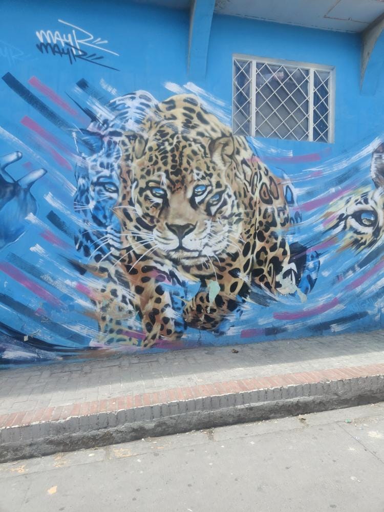 Foto 4 de 5