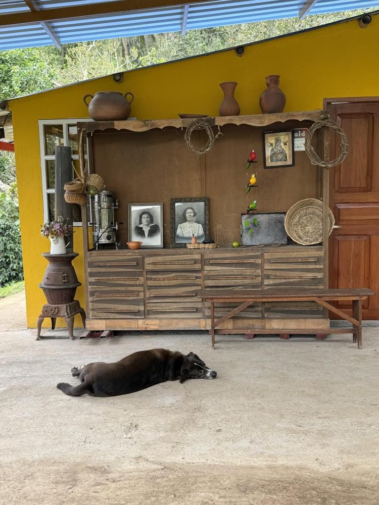 Foto 2 de 3