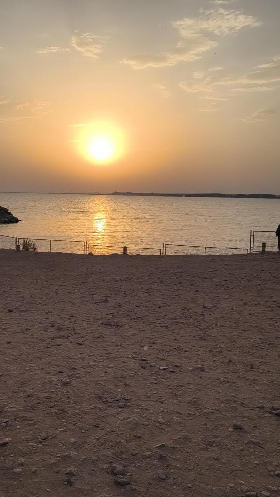 Foto 2 di 3
