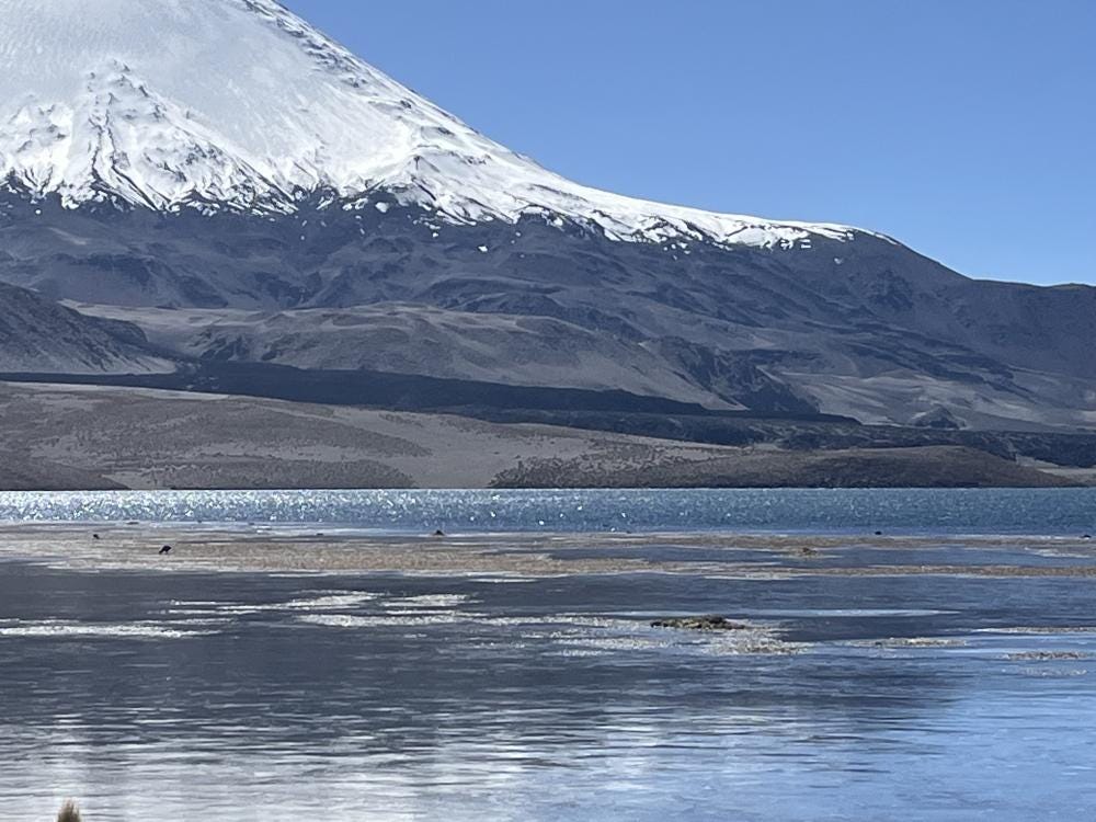 Foto 1 de 6