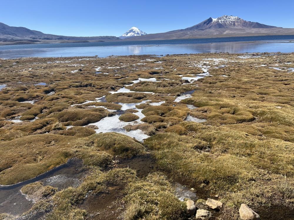 Foto 6 de 6