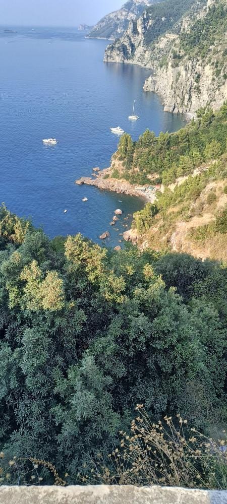Foto 1 de 2
