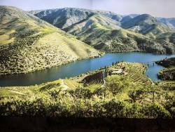 Foto 2 de 2