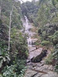 Foto 2 de 5