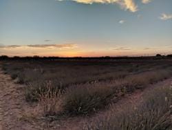 Foto 1 de 3