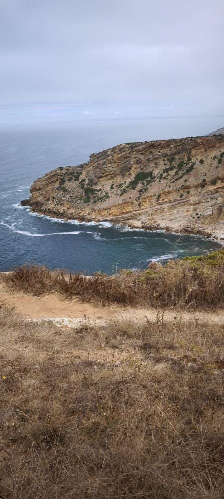 Foto 4 de 5