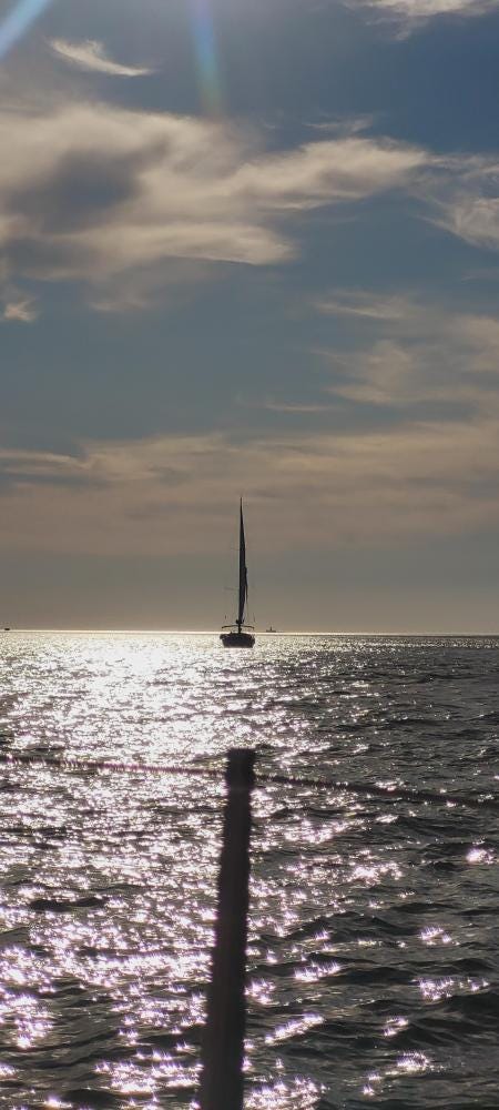 Foto 4 di 4