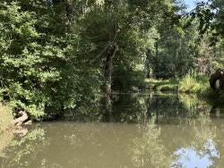 Photo {1} sur {2}