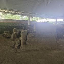 Foto 1 de 1