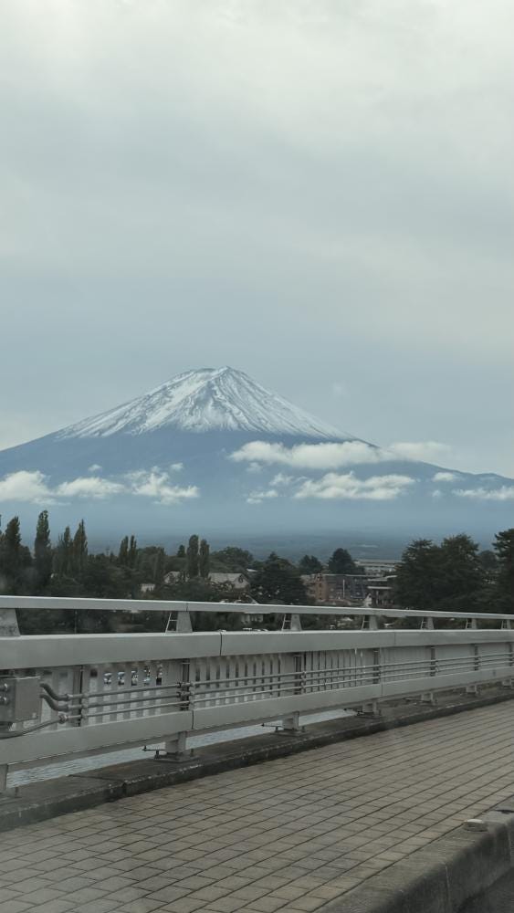 Foto 2 de 2