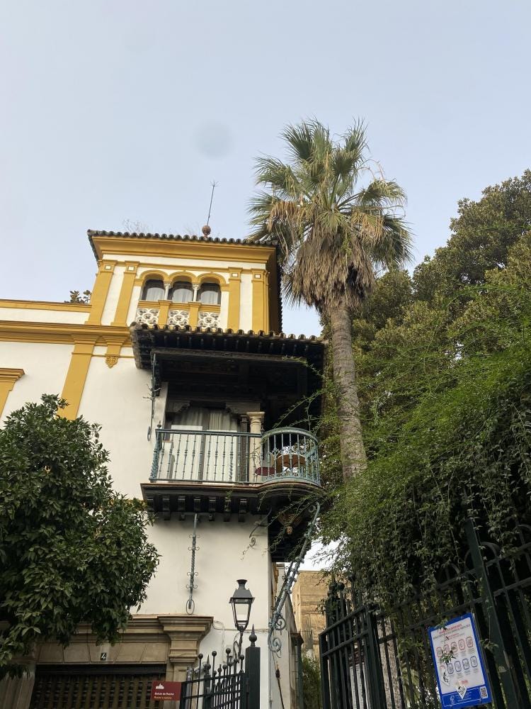 Foto 5 de 5
