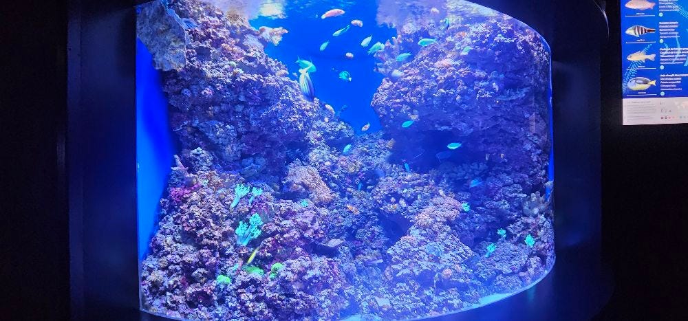 Foto 3 de 4