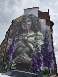 Foto 1 de 2