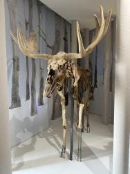 Foto 1 de 3