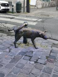 Foto 1 de 3