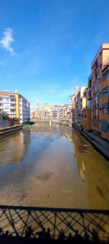 Foto 6 de 6