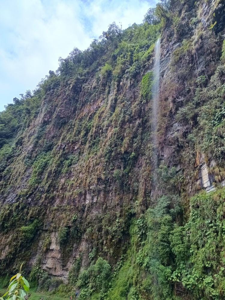 Foto 4 de 4