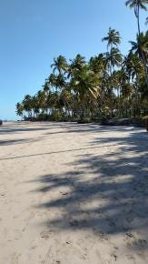 Foto 1 de 1