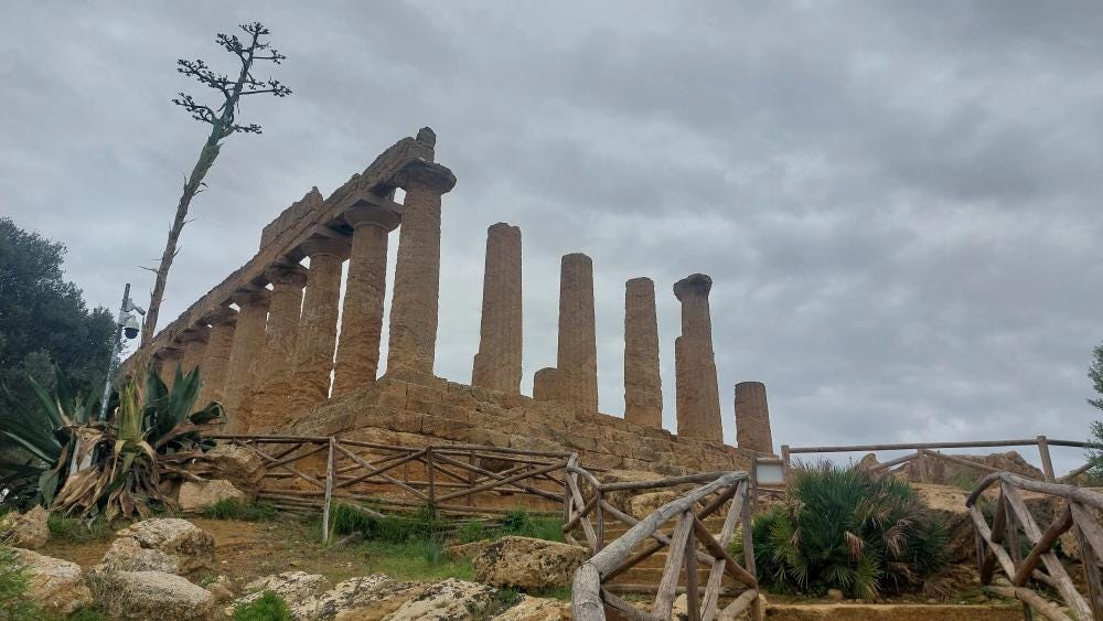 Foto 7 di 7