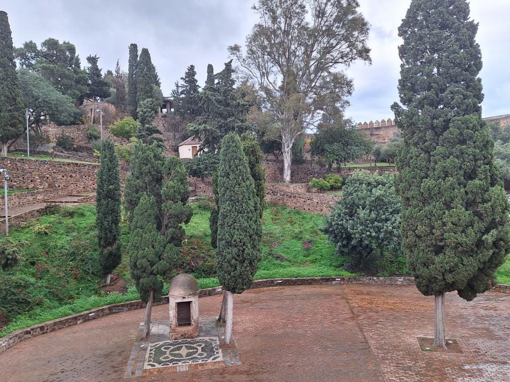 Foto 1 de 2